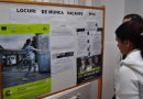 INS: În anul 2024, rata de ocupare a populaţiei în vârstă de 20-64 ani a fost de 69,5%