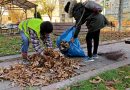 Deva: Amplă acțiune de curățenie de toamnă în toate cartierele orașului