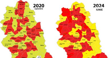 LOCALE 2024: Adevărata dimensiune a dezastrului pentru PNL Hunedoara