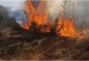 Peste 140 de incendii și aproximativ 1.300 de hectare de teren afectate, în acest weekend. În misiunile dificile ale salvatorilor a fost trimis și un elicopter dotat cu sistem de stingere