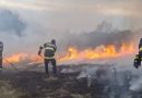 Incendierea vegetației uscate este periculoasă și ilegală!