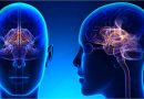 Care sunt strategiile preventive cele mai eficiente pentru bolile cerebrale legate de vârstă
